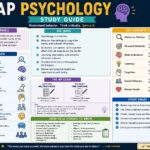 ap psychology study guide