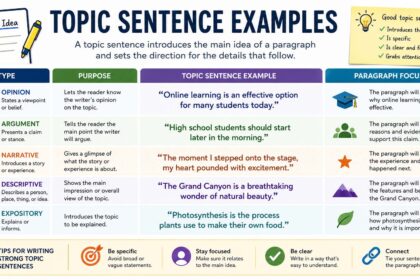 topic sentence examples