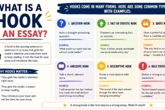 what is a hook in an essay