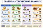 classical conditioning examples
