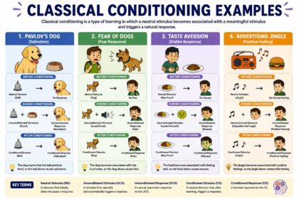 classical conditioning examples