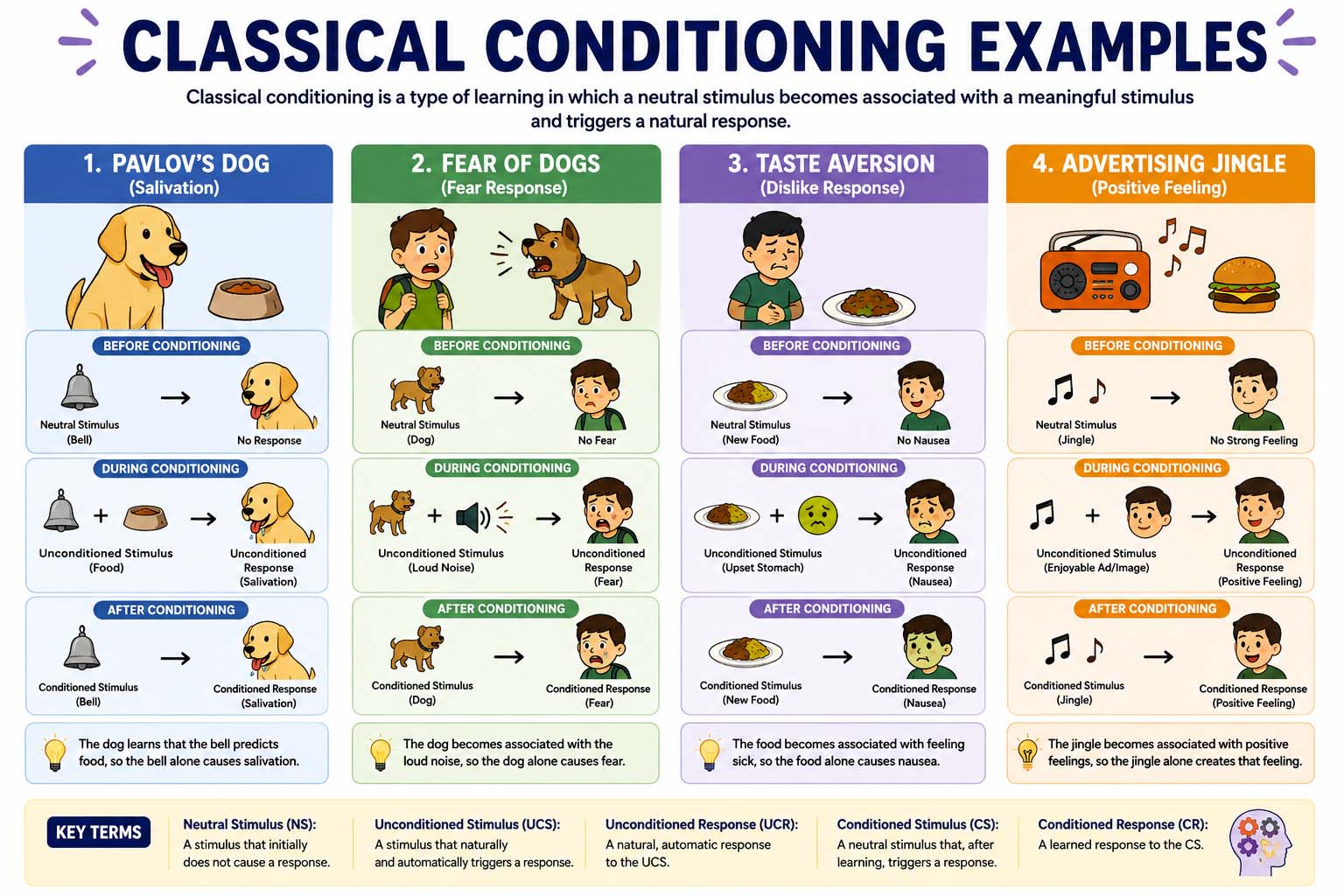 classical conditioning examples