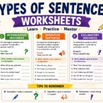 types of sentences worksheets